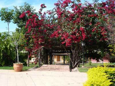 Hotel Fazenda Do Bertione Miranda Eksteriør billede